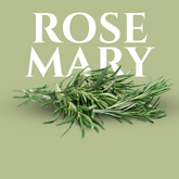 4 oz Fresh Rosemary – Bold Herb for Cocktails, Roasts & Garnish
